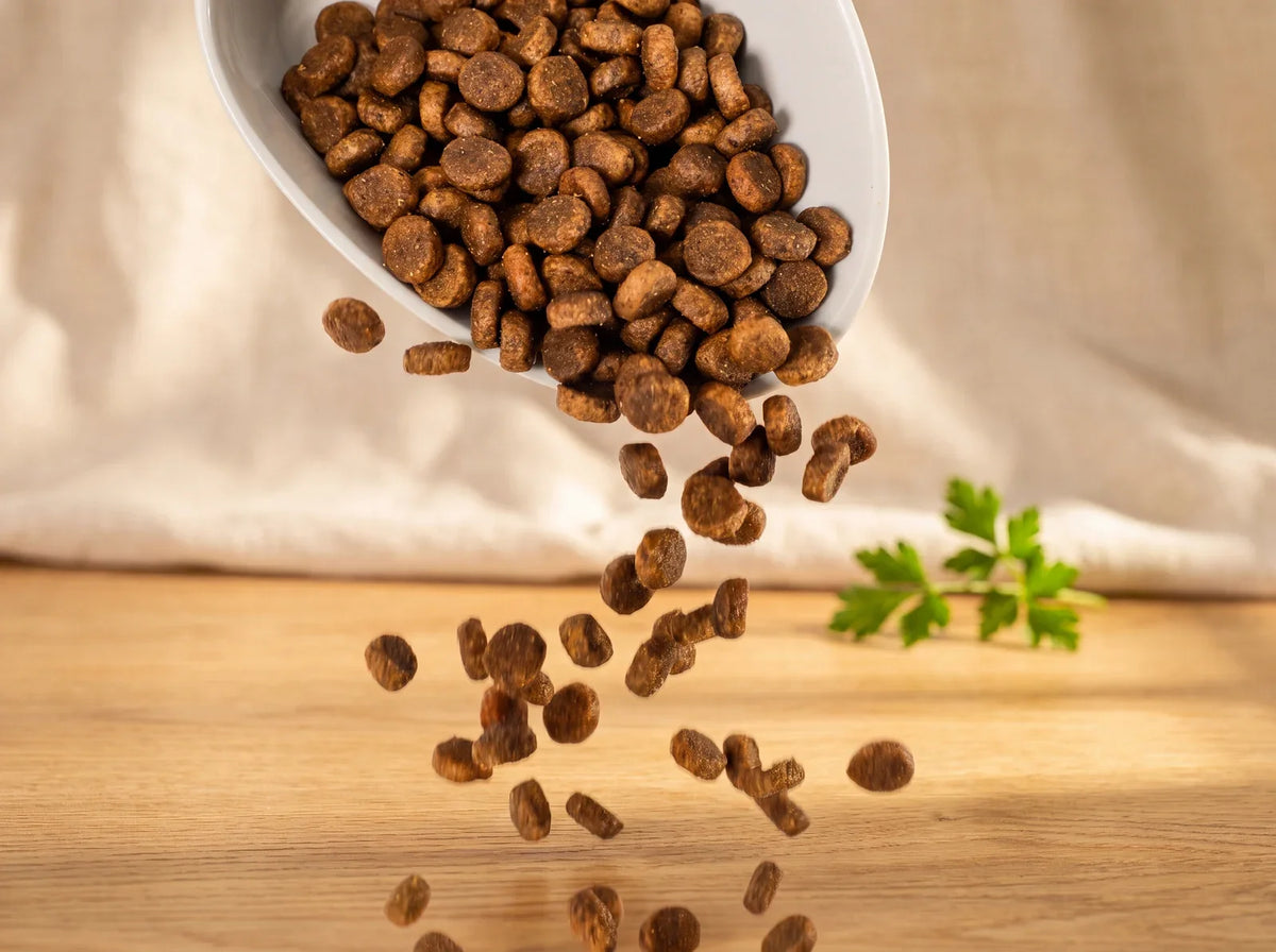Puppy food being poured into a bowl for a feeding schedule