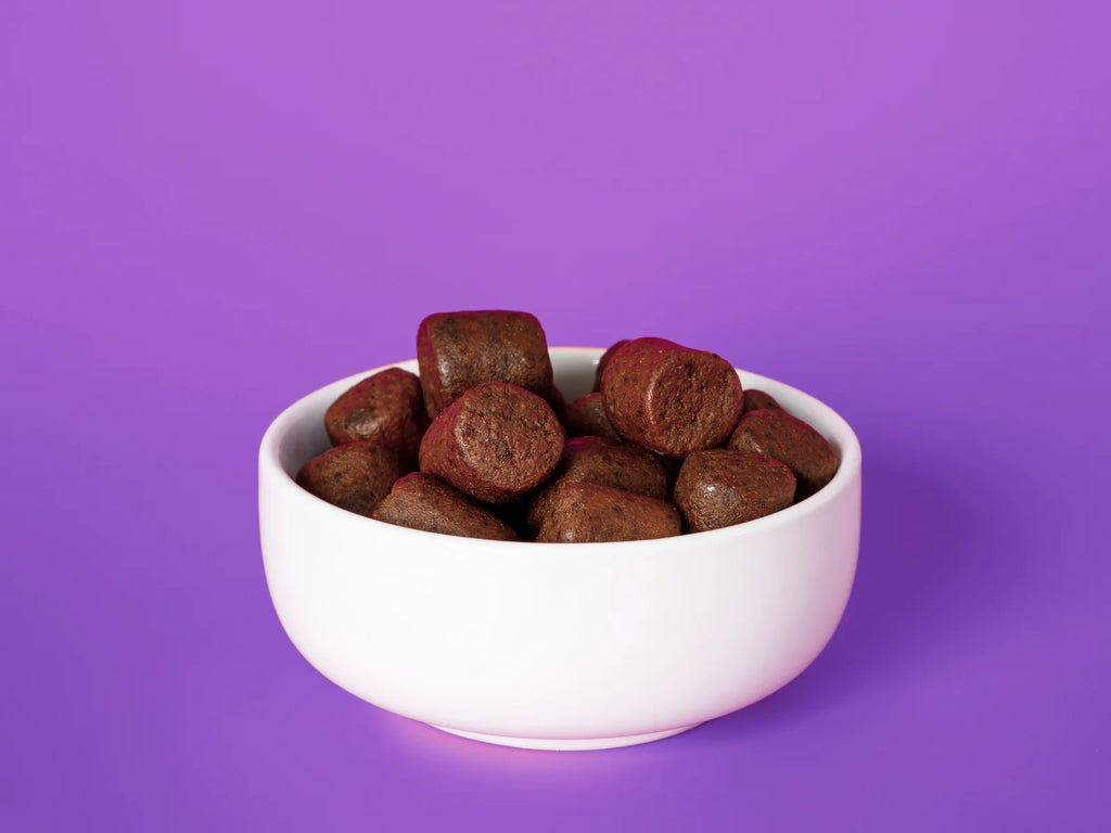 Companion Supplement for Large Breed Puppy Food - image 4
