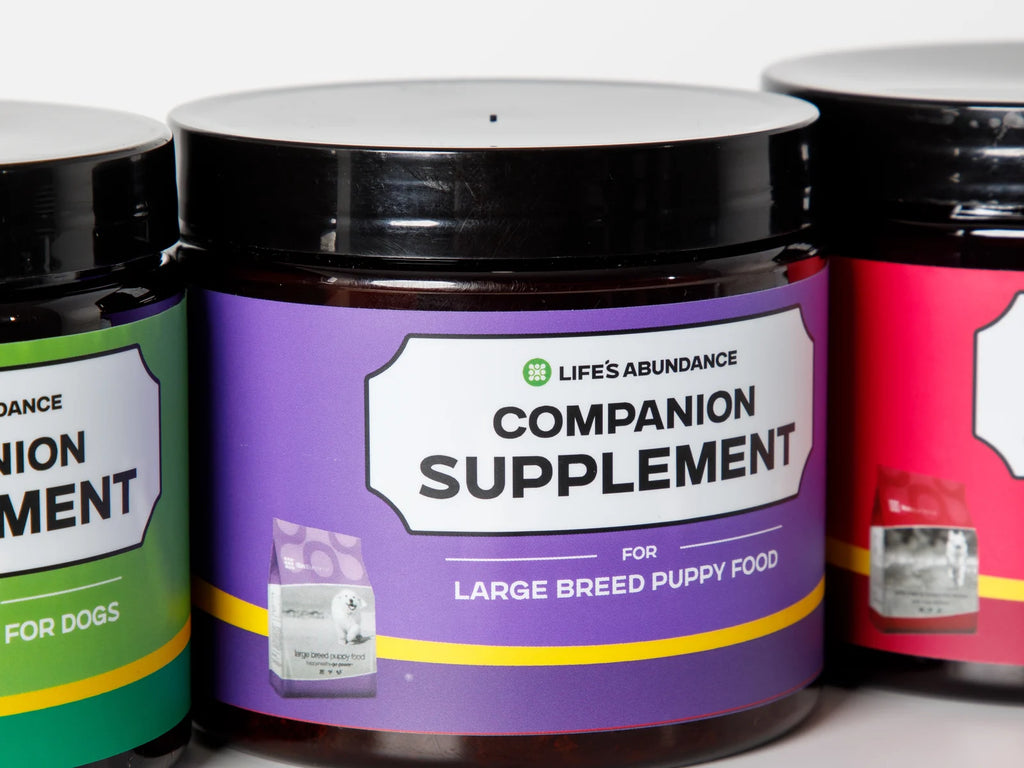 Companion Supplement for Large Breed Puppy Food - image 3