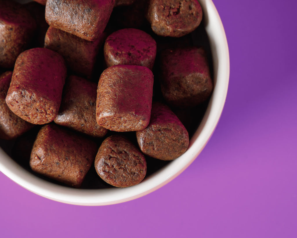 Companion Supplement for Large Breed Puppy Food - image 5