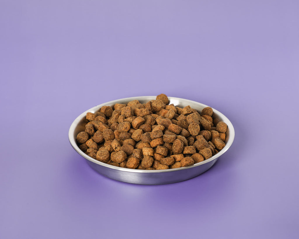 Large Breed Puppy System - image 4