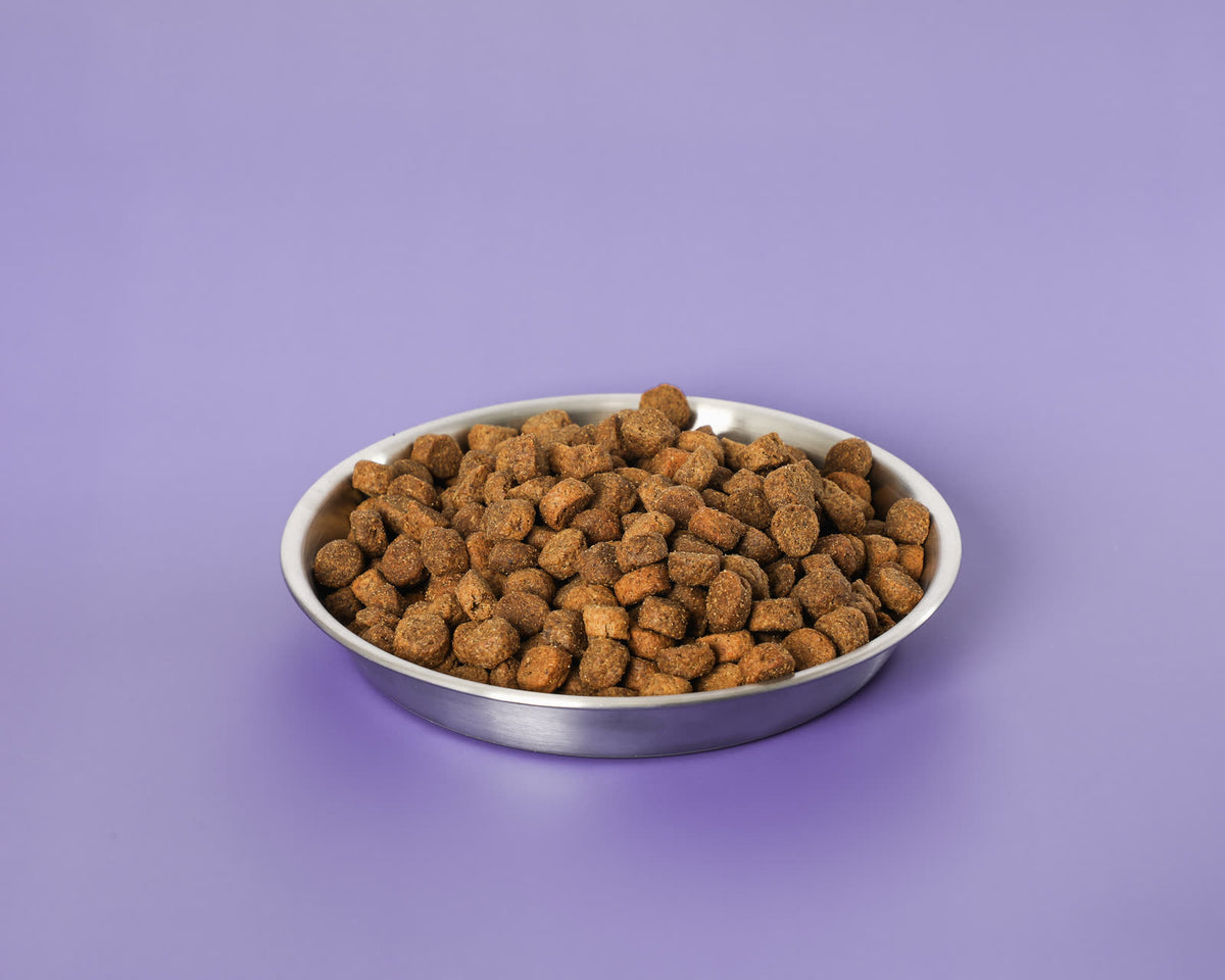 Large Breed Puppy System - image 4