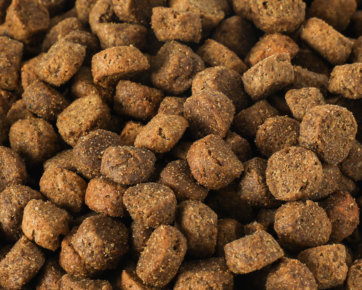 Large Breed Puppy System - image 5