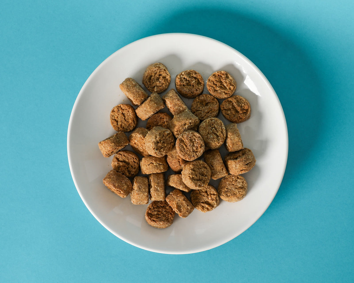 Gourmet Dental Treats in a white bowl on a teal background