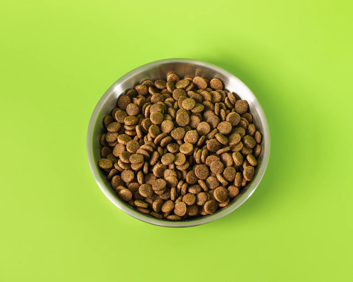 All Life Stage Dog Food - image 4