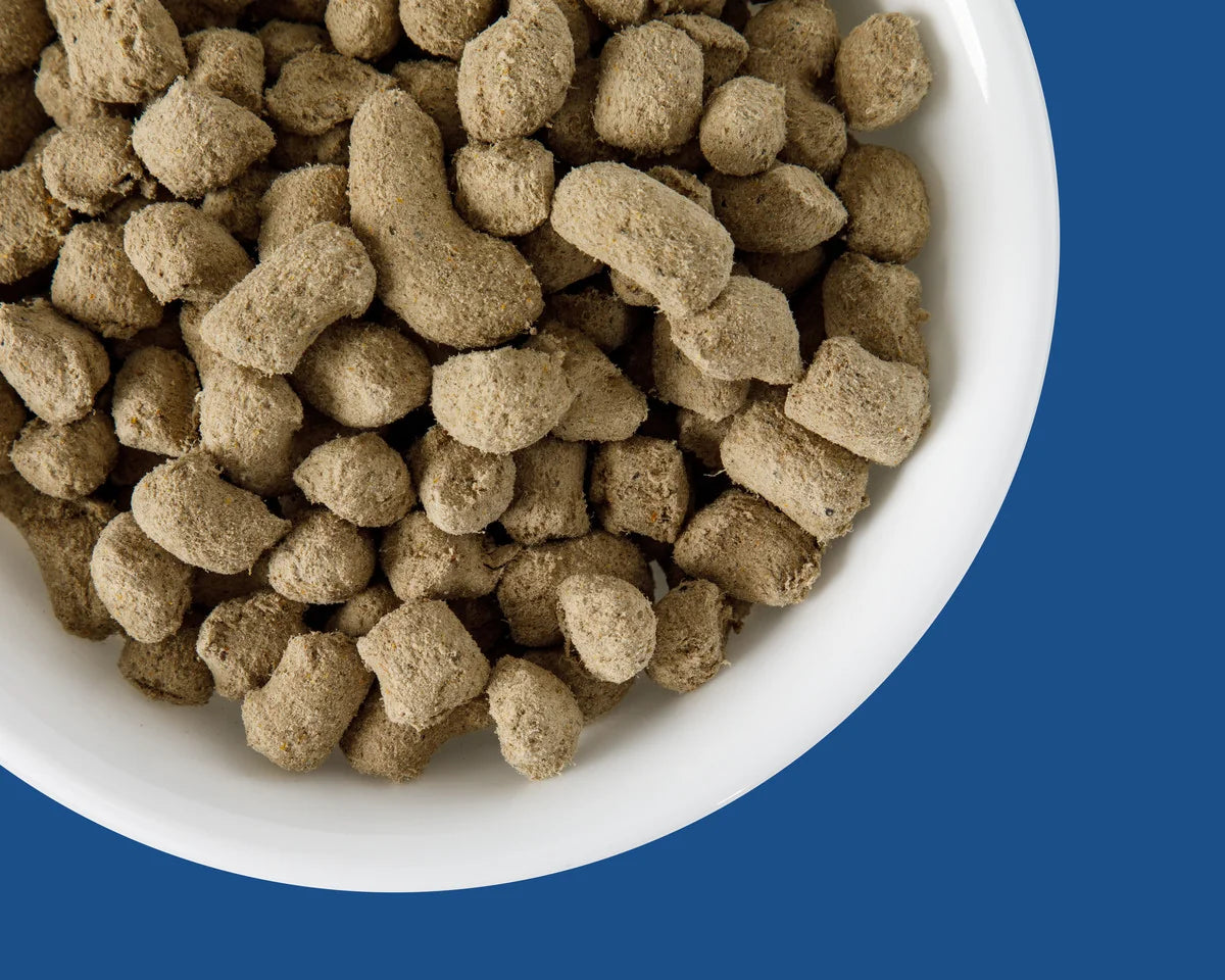 Dream Wild™ Freeze-Dried Chicken & Turkey Recipe Adult Dog Food - image 3