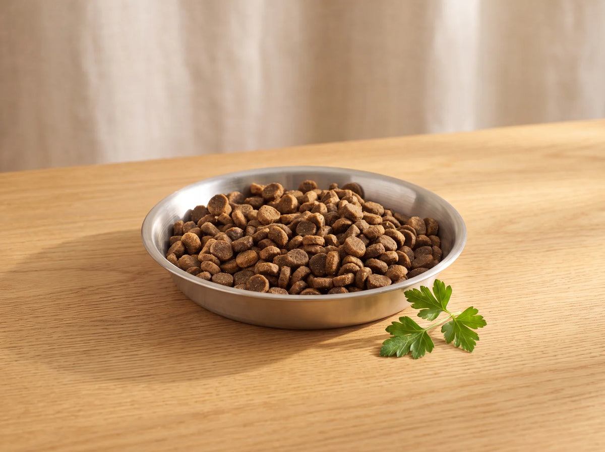 Small & Medium Breed Puppy Food - image 3