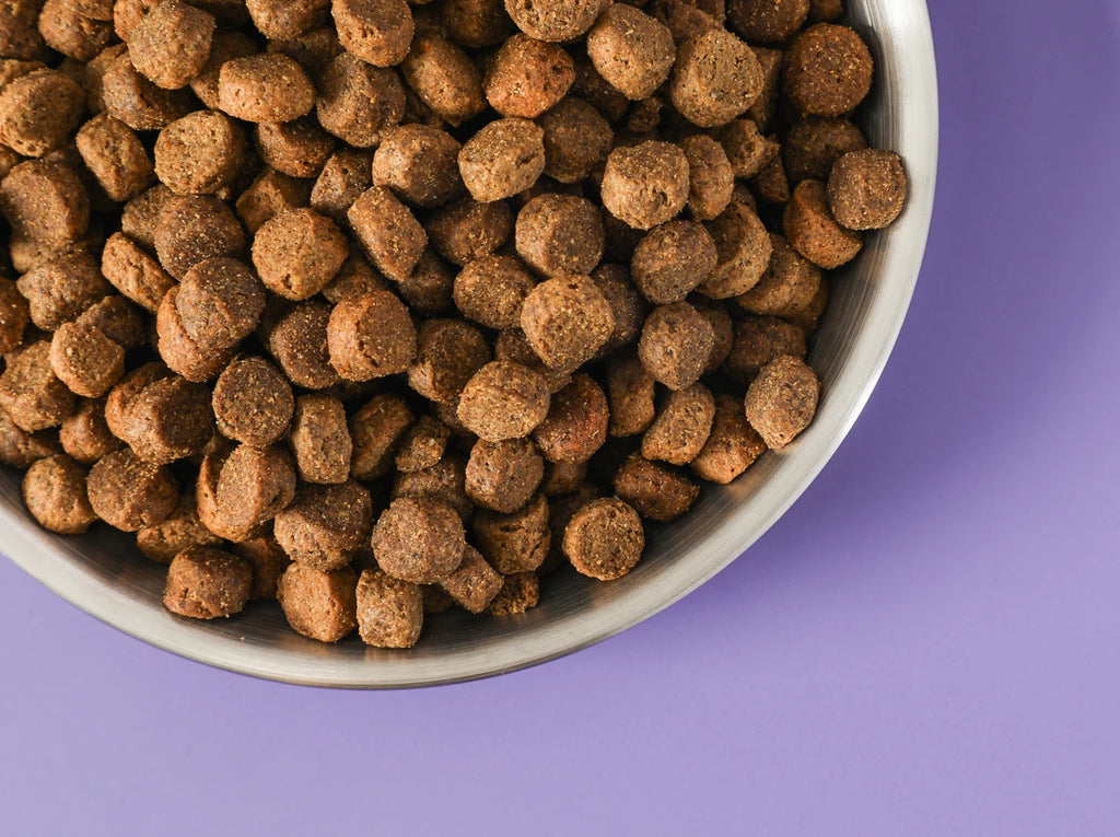 Large Breed Puppy Food - image 4