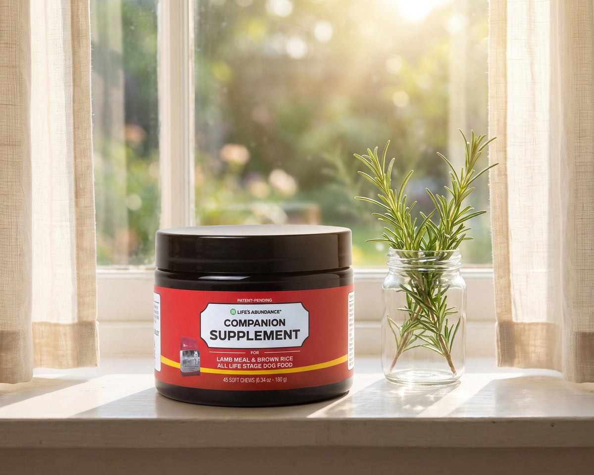 Companion Supplement for Lamb Meal & Brown Rice Dog Food jar on a sunlit windowsill beside a jar of rosemary