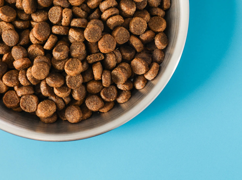 Small & Medium Breed Puppy Food - image 4