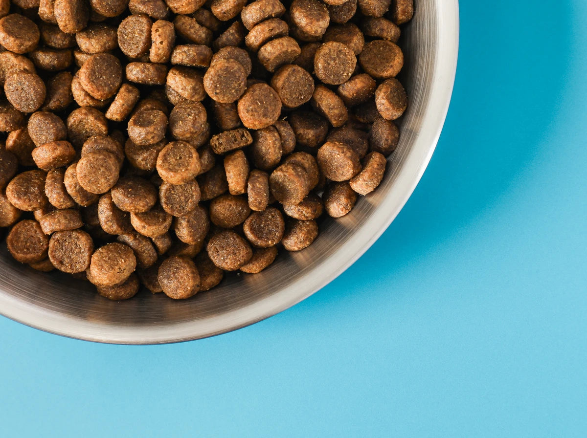 Small & Medium Breed Puppy Food - image 4