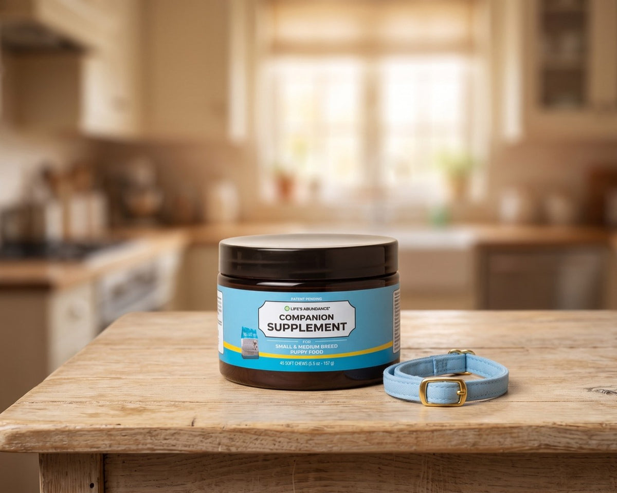 Companion Supplement for Small & Medium Breed Puppy Food jar on a kitchen table beside a blue puppy collar