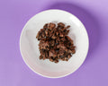 Turkey Heart Petites freeze-dried dog treats on a white plate against a purple background