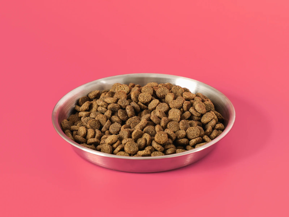 Lamb Meal & Brown Rice Recipe Dog Food - image 4