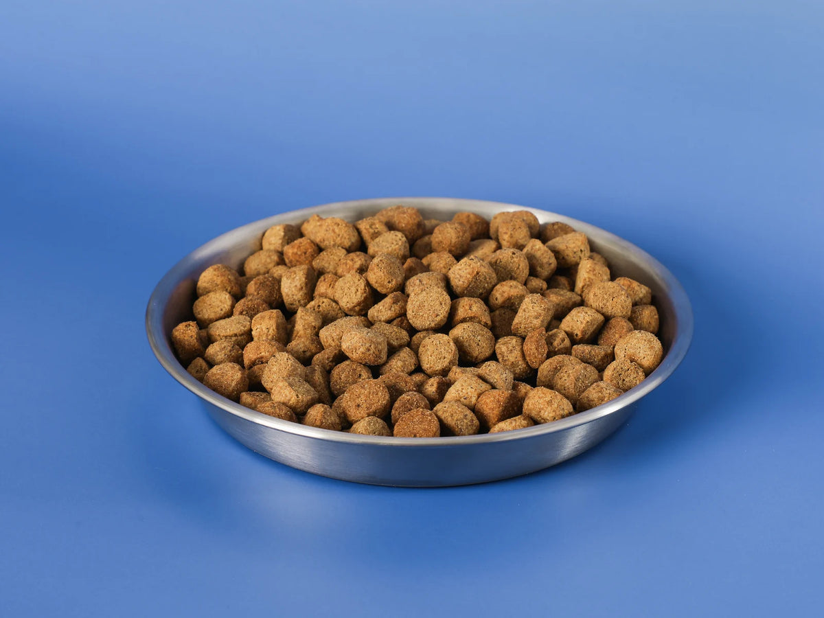 Adult Weight Loss Dog Food - image 4