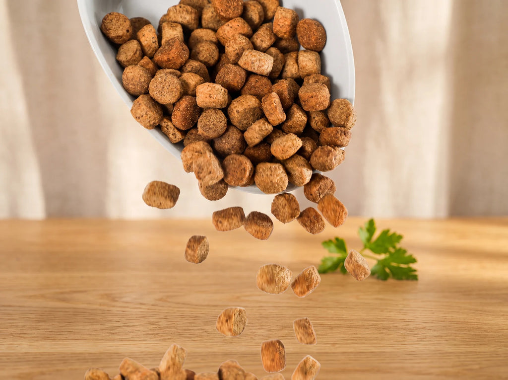 Adult Weight Loss Dog Food kibble pouring into a bowl in warm morning light