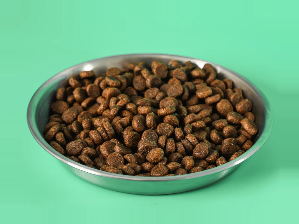 Grain Free All Life Stage Dog Food - image 4