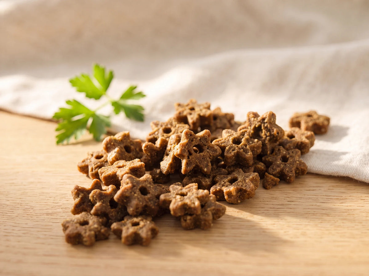 Star-shaped Wellness Food Supplement pieces for cats in warm morning light